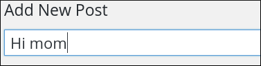 WordPress - Add new post title