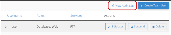 cPanel - Manage Team - View Audit Log