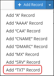 cPanel - Domains - Manage - Add TXT Record