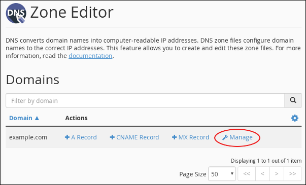 cPanel - Zone Editor - Manage domain