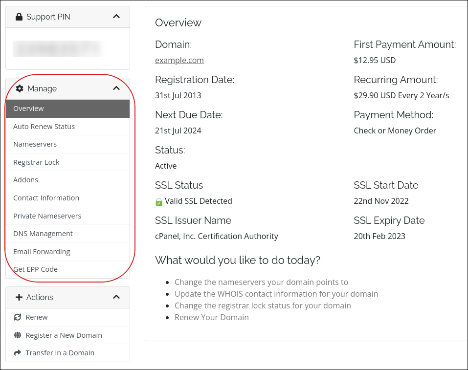 Customer Portal - Domains - Information page