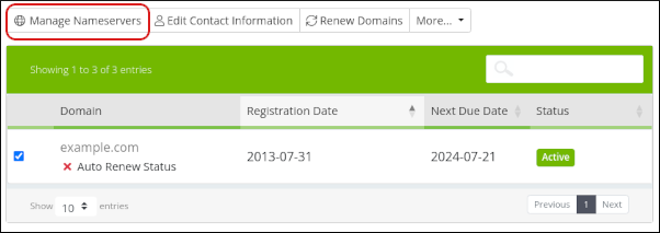 Customer Portal - Domains - Manage Nameservers menu