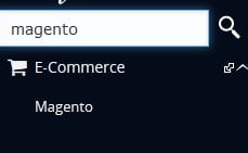 Search Magento