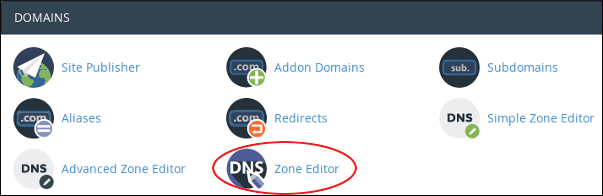 DNS1