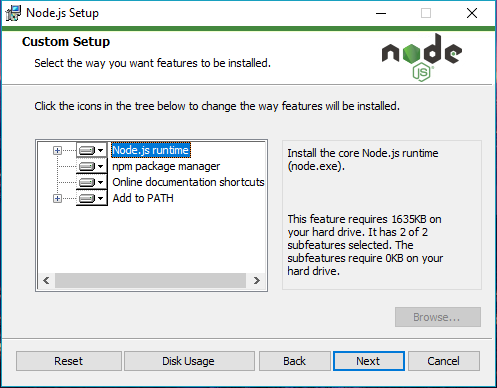 Customize the nodejs setup