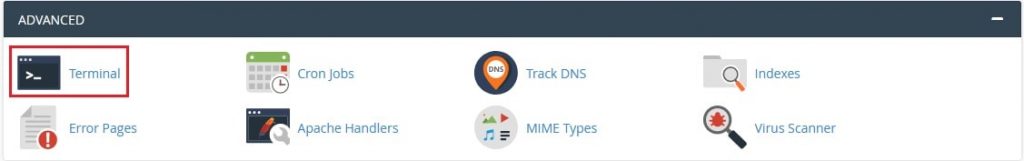 Screenshot: Find Terminal in cPanel by searching for it.