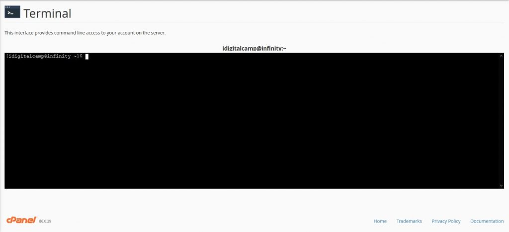 Screenshot: Find Terminal in cPanel by searching for it.