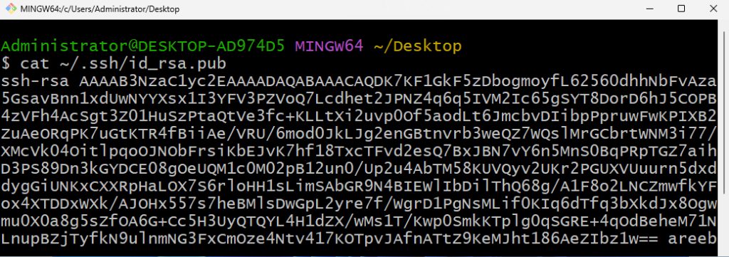 The public key in the terminal