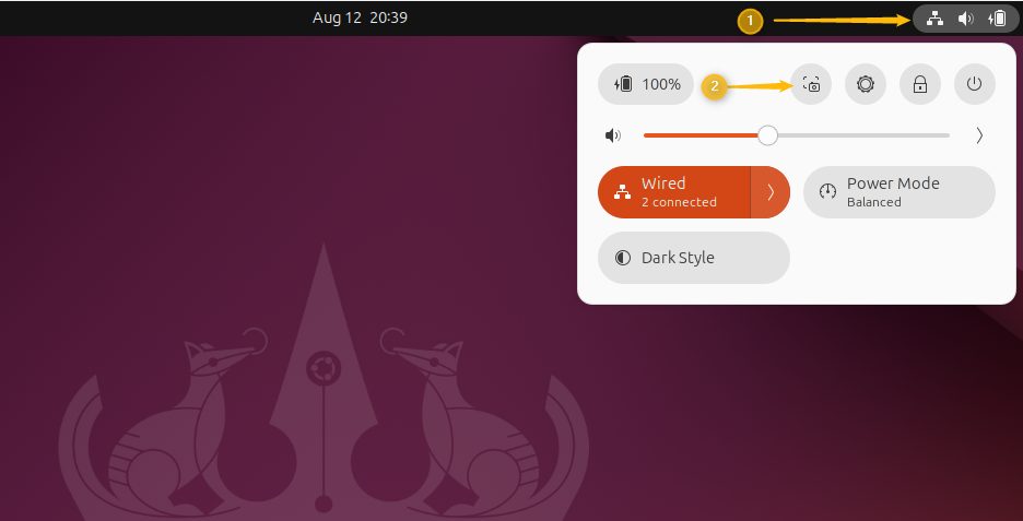 Opening the screenshot tool