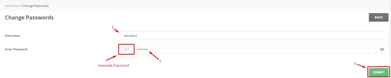 Screenshot: Enter the new password twice and save.