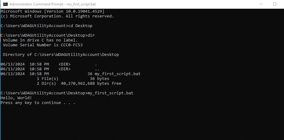 Running the script in cmd