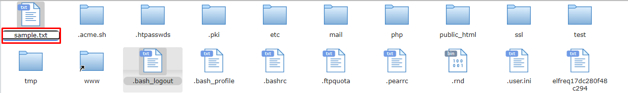 Screenshot: The new file shows in the list.