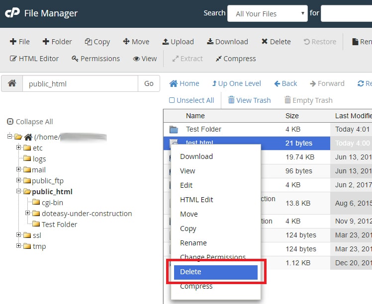Screenshot: Select the file in File Manager and click Delete .