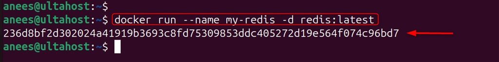 Running Redis