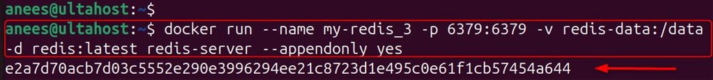 Running Redis with a volume