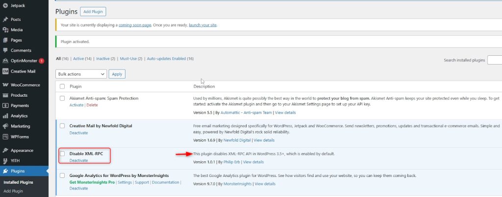 The plugin is active