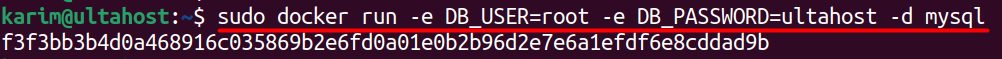 Running a container with -e