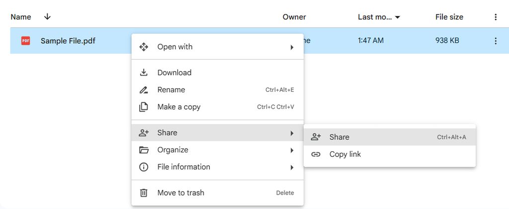 Sharing the file