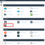 Screenshot: Under Databases , click Remote MySQL (it may be called Remote Database Access ).