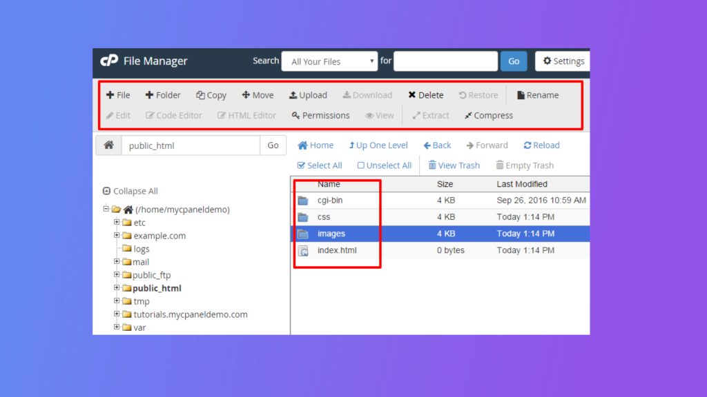 Browsing the folders in File Manager
