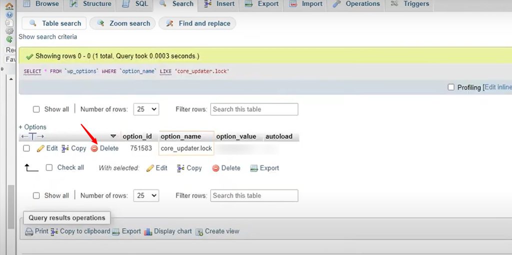 Searching for core_updater.lock