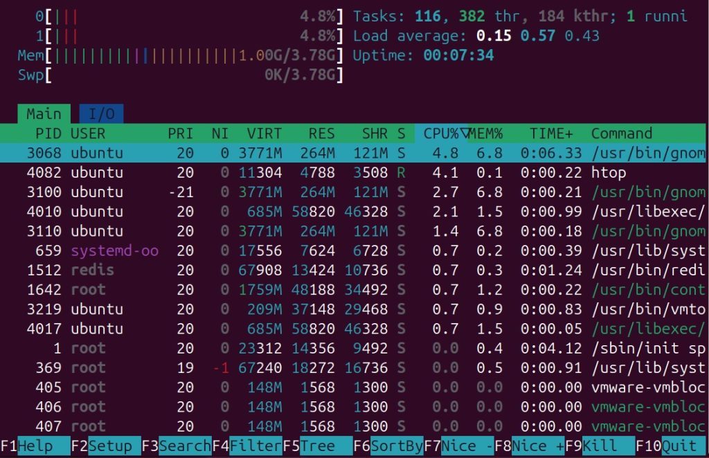 The htop view