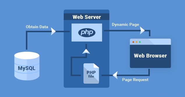 Screenshot: Open File Manager and go to your WordPress folder, often public_html .