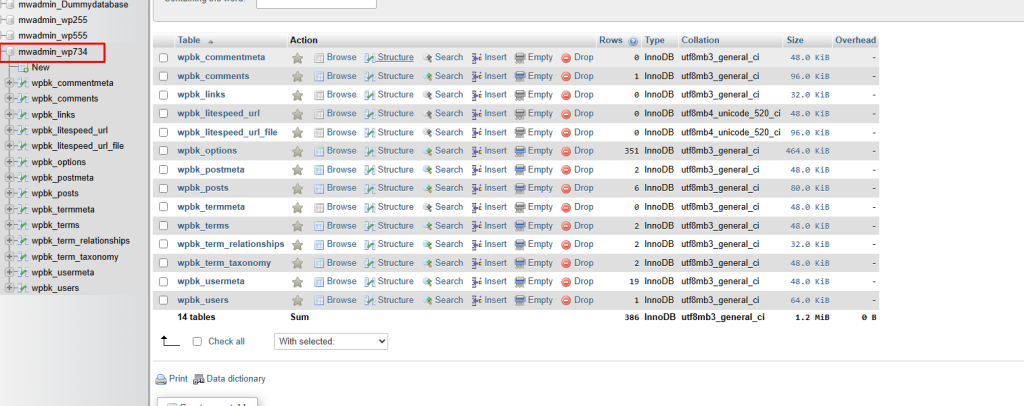 select the database of your WordPress website