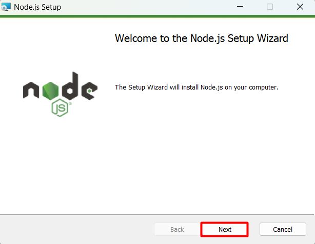 The setup wizard