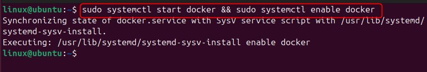 The Docker installation