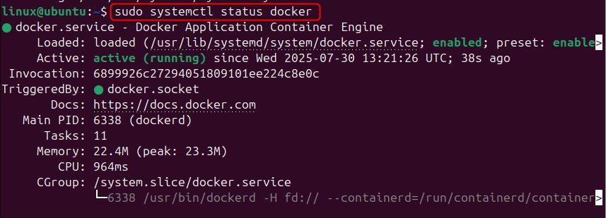 The Docker status