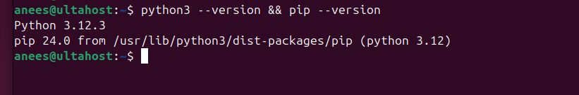 Checking Python and pip