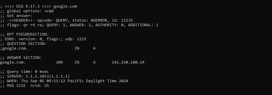 dig in the Cygwin terminal
