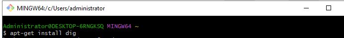 Installing dnsutils in the Linux shell