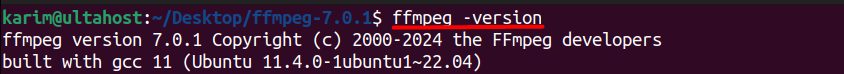 The FFmpeg version after the build