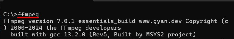 The FFmpeg version
