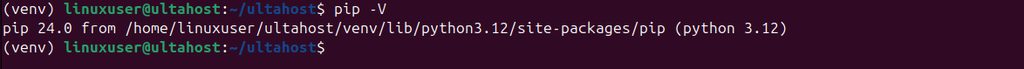 Checking the pip version