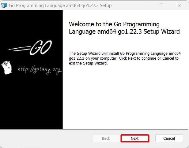 The Go setup wizard