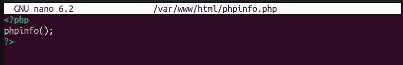 The phpinfo page