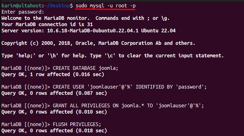 Opening the MariaDB shell