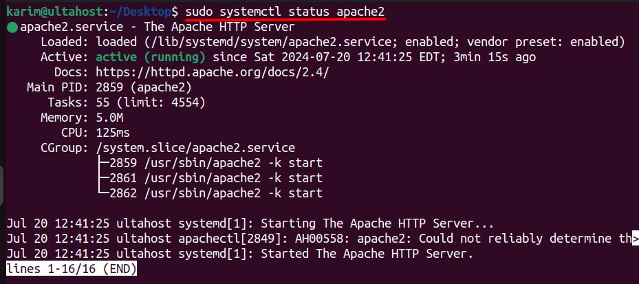 The Apache status