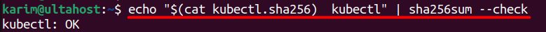 Checking the checksum