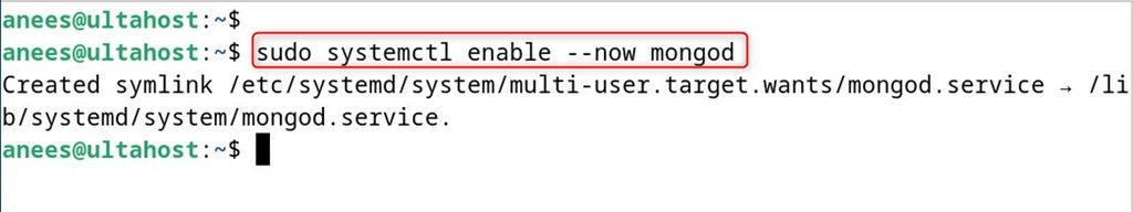 Enabling MongoDB