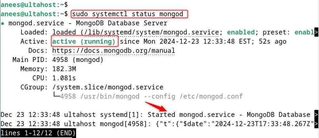 The MongoDB status