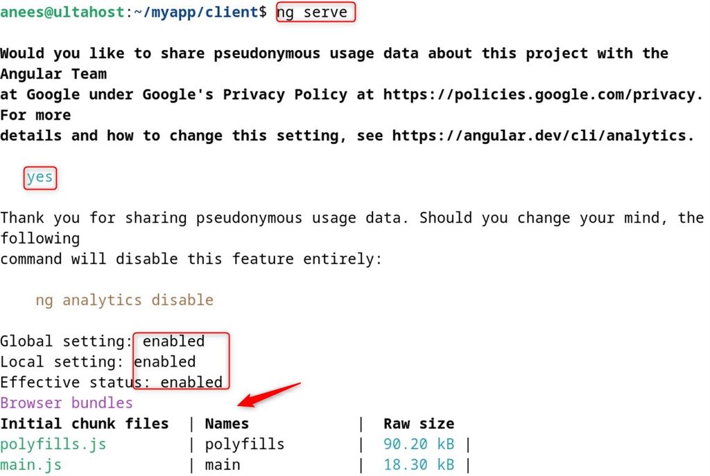 Starting the Angular server