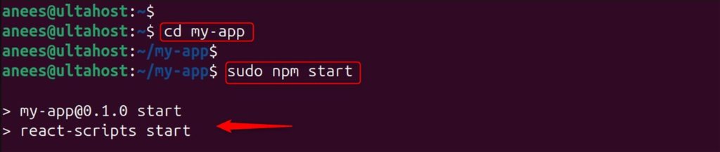 Starting the development server