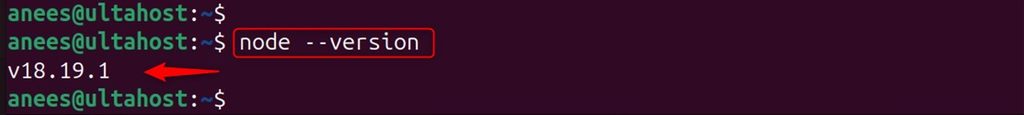 The Node.js version