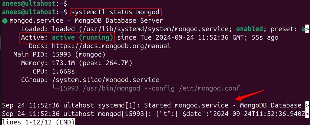 The MongoDB status
