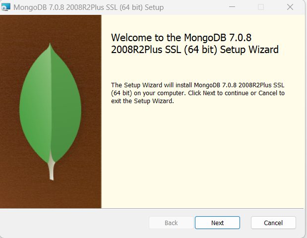 The MongoDB setup