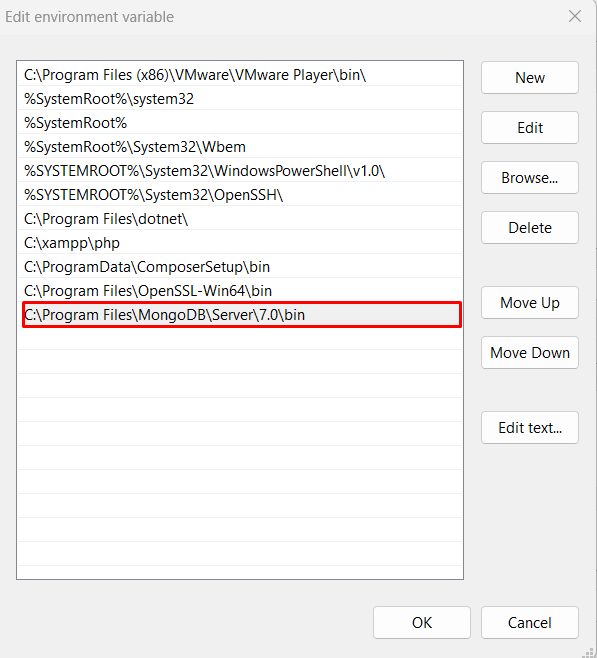 Setting the environment variable